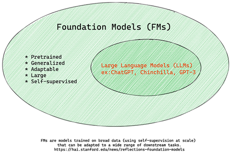 Foundation Model